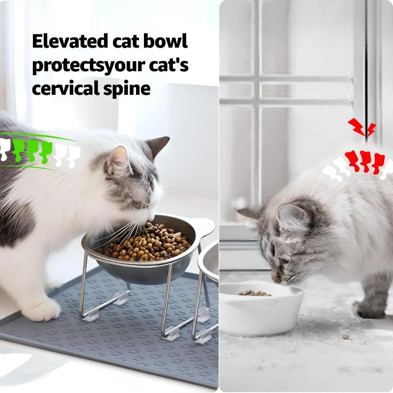 Elevated Cat Bowl - 15-Degree Tilted Stainless Steel Feeding Dish with Raised Stand